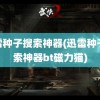 迅雷种子搜索神器(迅雷种子搜索神器bt磁力猫)