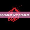 (vmprotect)vmprotect 3.6