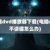 电脑dvd播放器下载(电脑dvd不读碟怎么办)