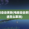 电脑自动更新(电脑自动更新中途怎么取消)