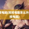 双核电脑(双核电脑怎么升级4核电脑)