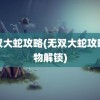 无双大蛇攻略(无双大蛇攻略人物解锁)