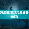 武汉电脑城(武汉电脑城哪个比较好)