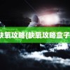 缺氧攻略(缺氧攻略盒子)