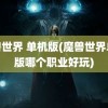 魔兽世界 单机版(魔兽世界单机版哪个职业好玩)