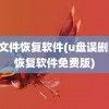 u盘文件恢复软件(u盘误删文件恢复软件免费版)