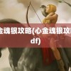 心金魂银攻略(心金魂银攻略pdf)